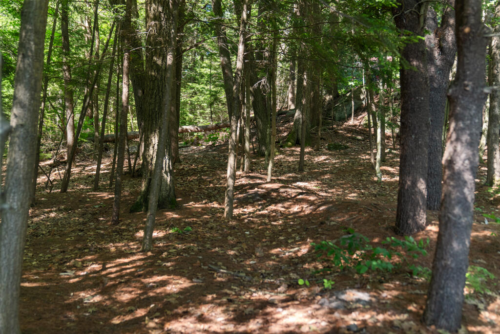 23 Old Road Gray, ME 04039 - Photo 55 of 63 DSC03396