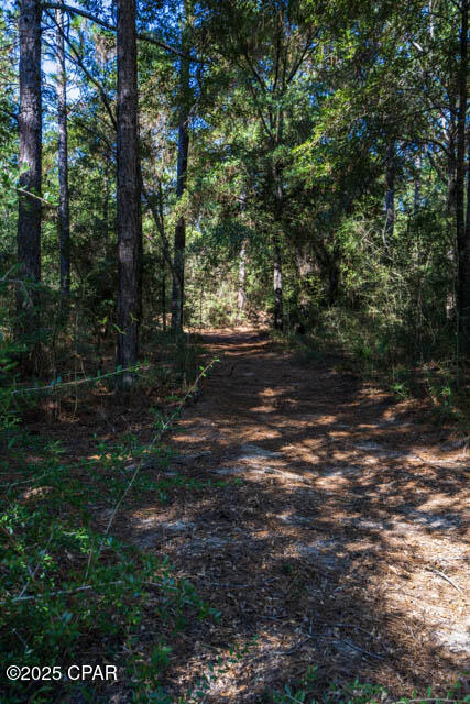 4507 Rainbird Rise Road Crestview, FL 32539 - Photo 17 of 23