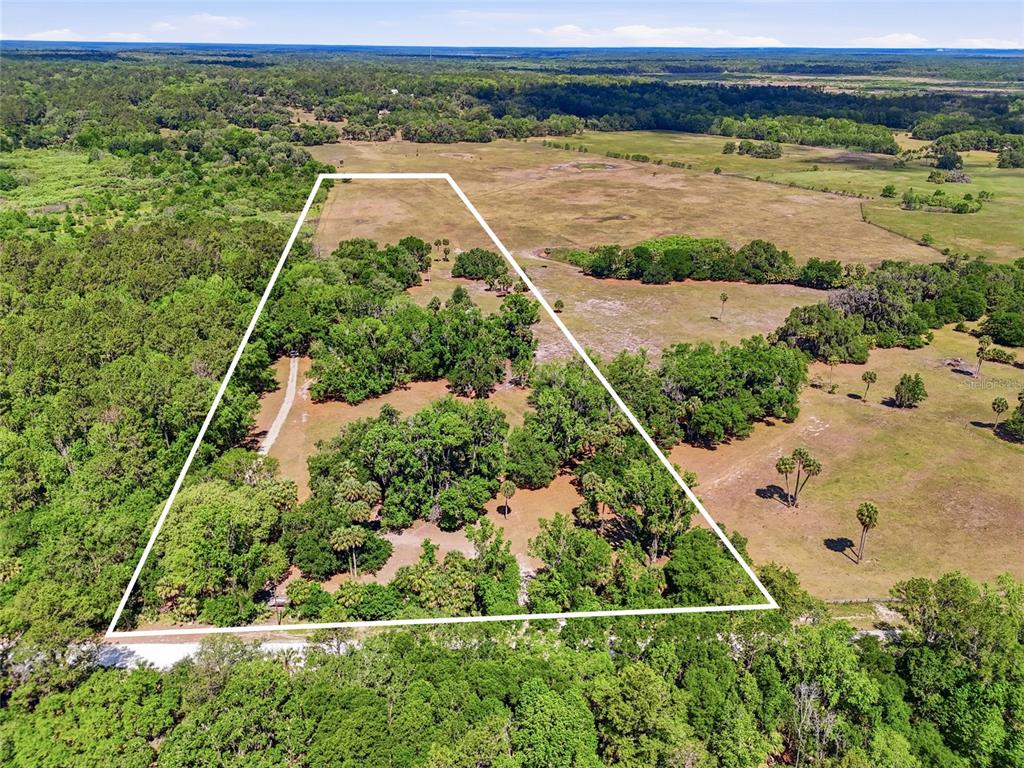 22130 Northwest 75th Avenue Road Micanopy, FL 32667 - Photo 49 of 52