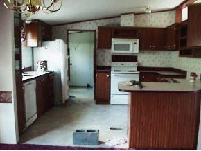 860 Tyne Gray Road Afton, TN 37616 - Photo 3 of 3 Photo 3