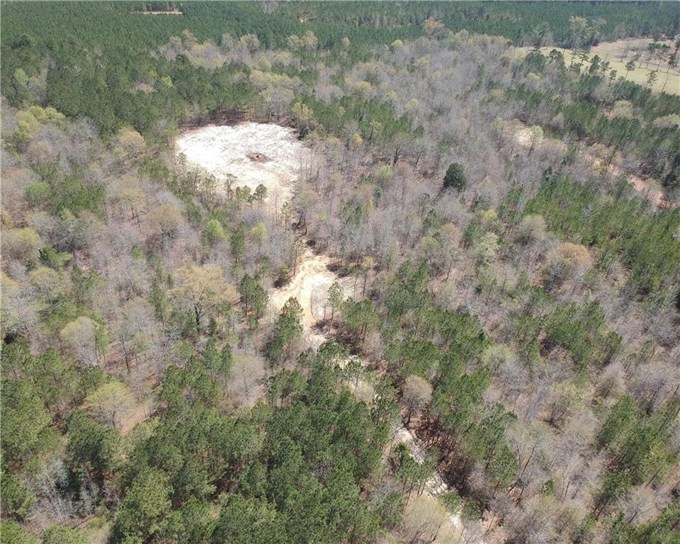 377 Ridge Road Seale, AL 36875 - Photo 14 of 15 Gallery Image 14