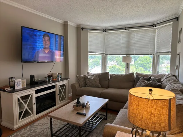 a living room with furniture a rug and a window