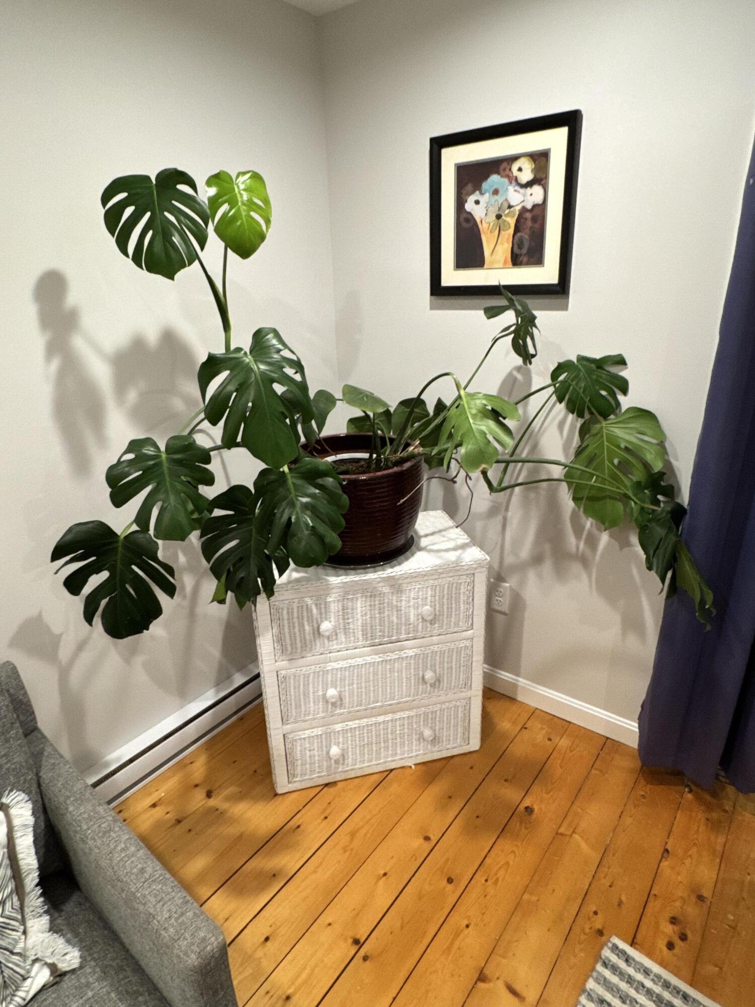 9 Bells Neck Road, Unit 10 West Harwich, MA 02671 - Photo 23 of 23 a view of a living room
