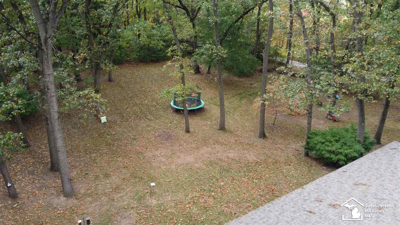 2855 Morocco Road Ida, MI 48140 - Photo 35 of 37
