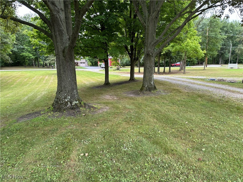 354 Big Bass Road Willard, OH 44890 - Photo 5 of 29 View of yard