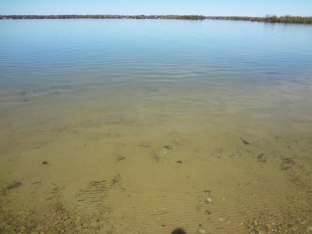 9539 Blue Horizon Road Presque Isle, MI 49777 - Photo 37 of 43 Gallery Image 37