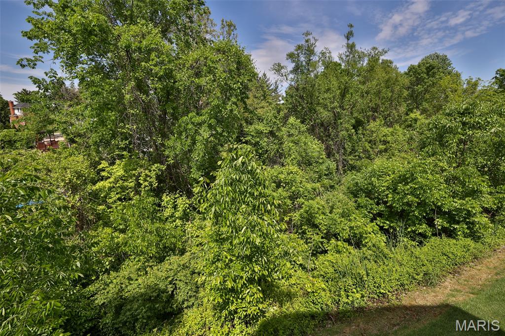 409 Country Club View Edwardsville, IL 62025 - Photo 75 of 77