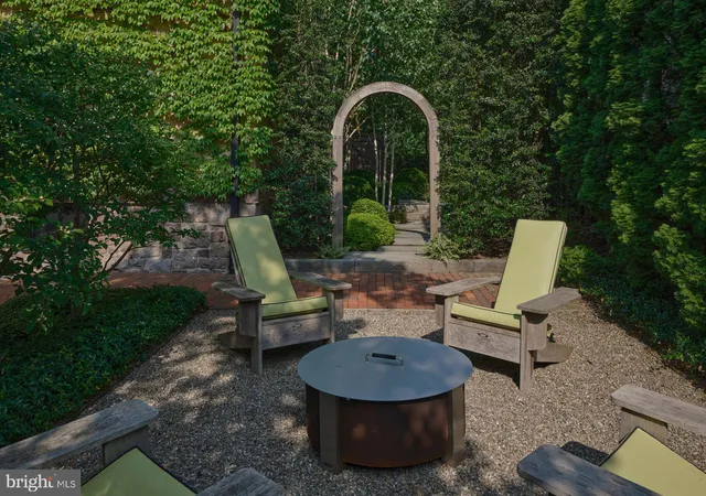 a view of a tall trees with a small yard