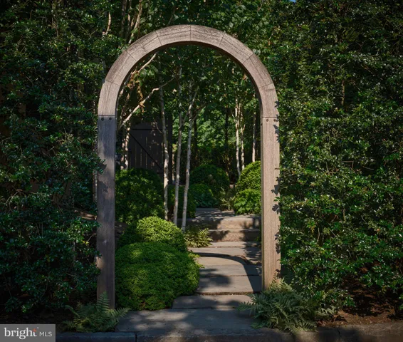 a view of backyard and tree
