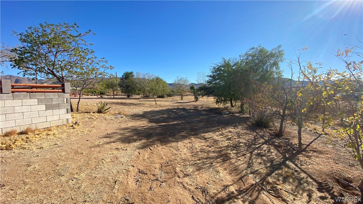 171 South Horn Road Golden Valley, AZ 86413 - Photo 42 of 46 a view of dirt yard with a large tree