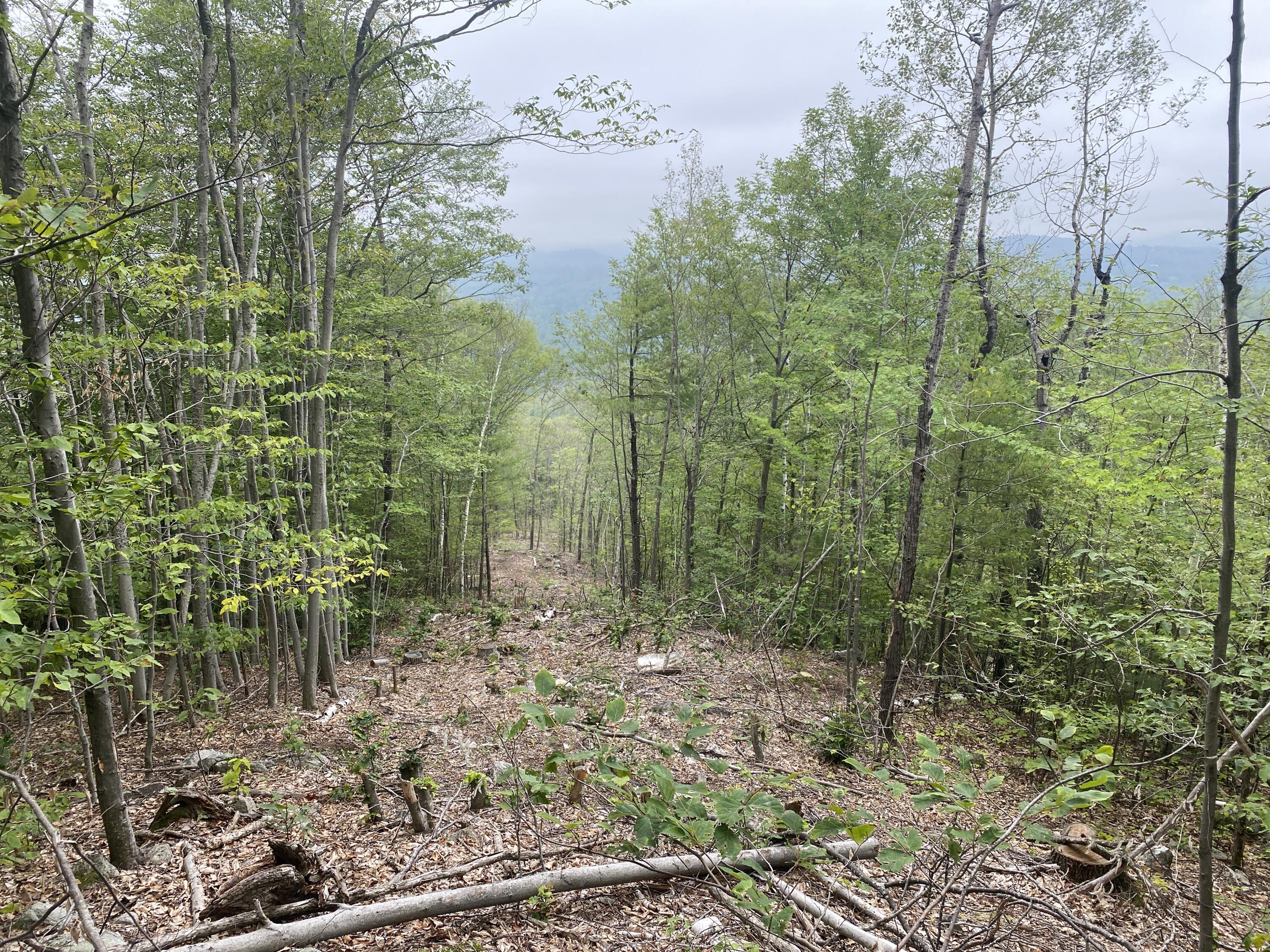 19 Off Peary Mountain Road Brownfield, ME 04010 - Photo 20 of 26 IMG_5762