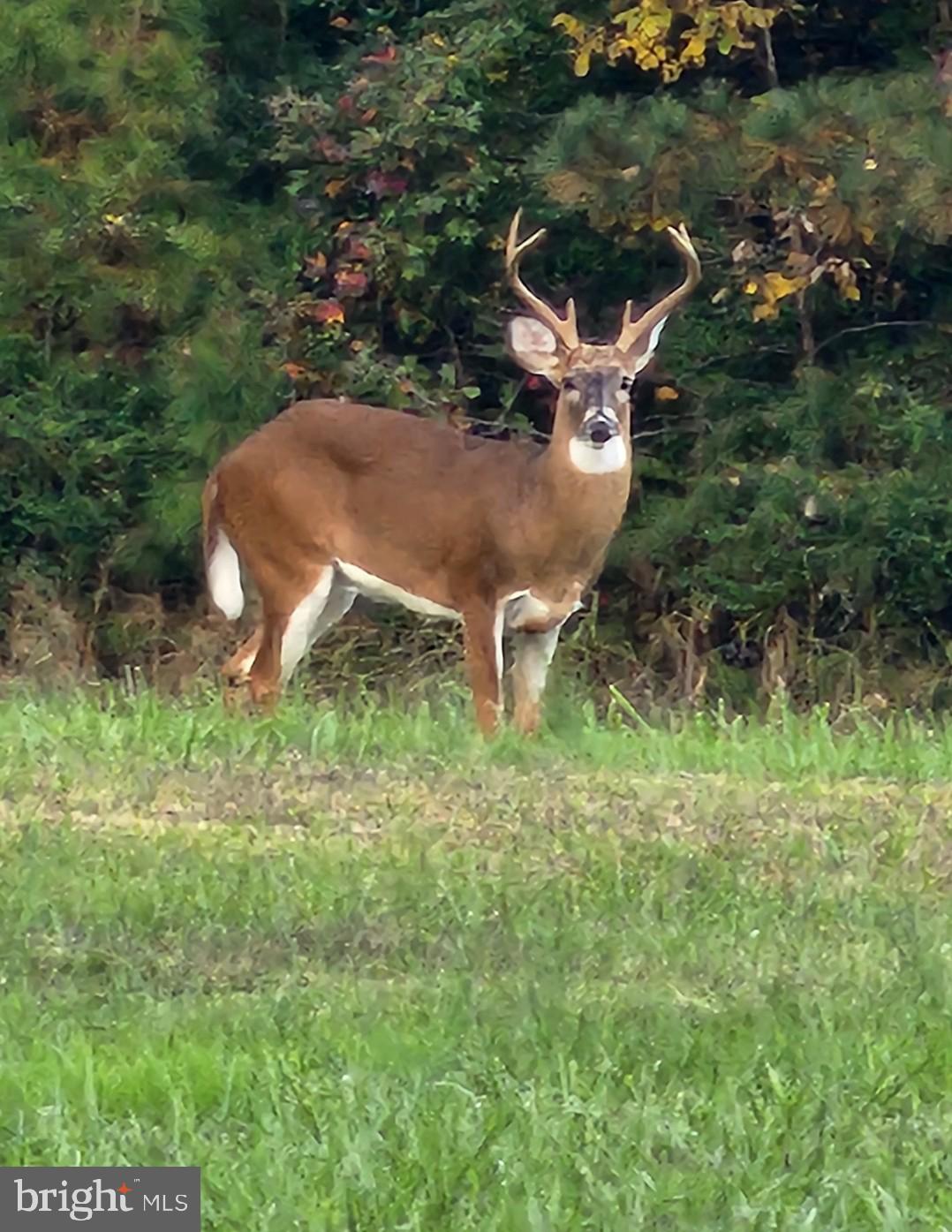 0 Sandy Beach Road Heathsville, VA 22473 - Photo 9 of 10 an aerial view of a house with a yard basket ball court and outdoor seating