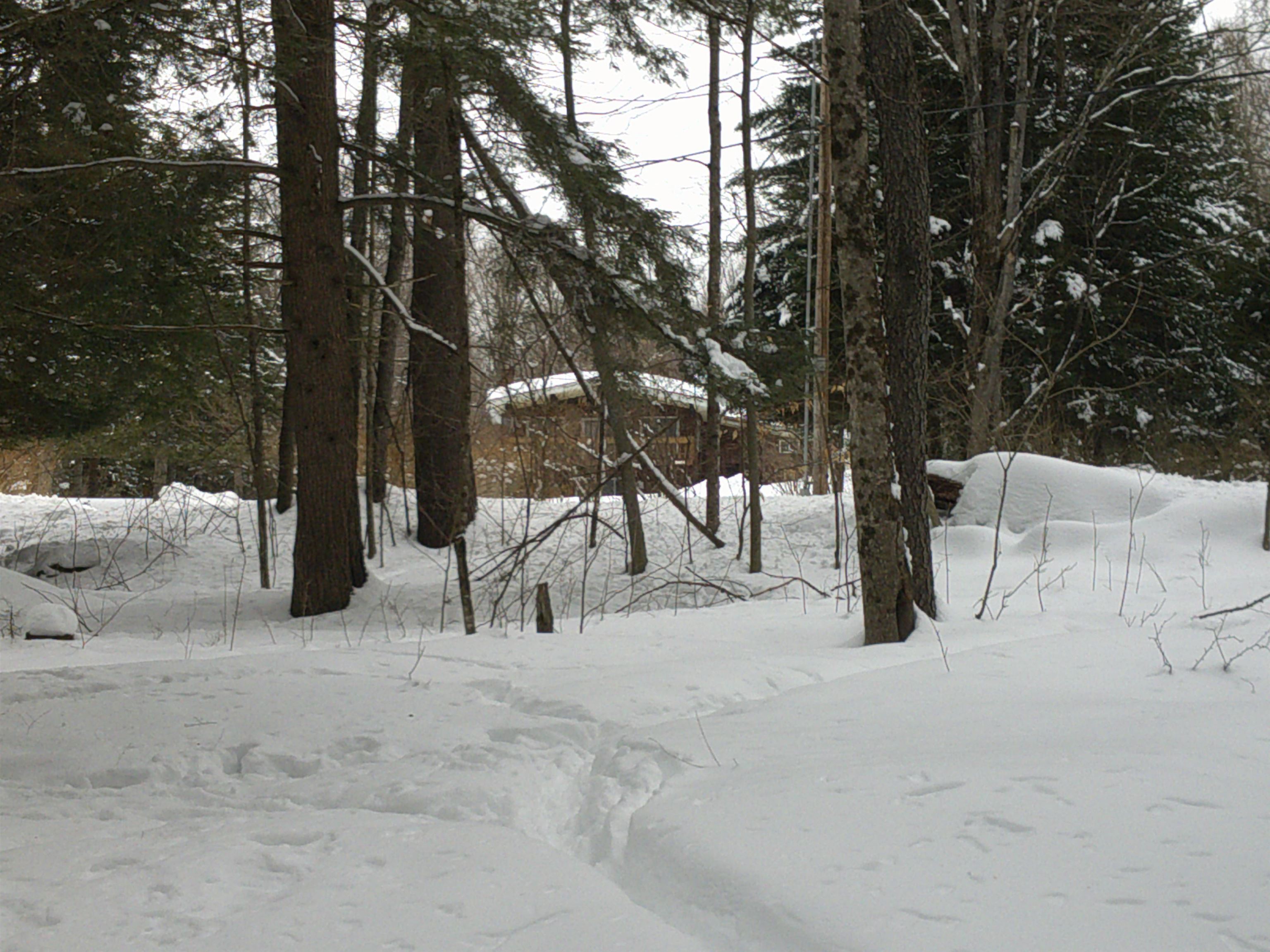 0 Plot Road, Unit 2 Johnson, VT 05656 - Photo 14 of 29