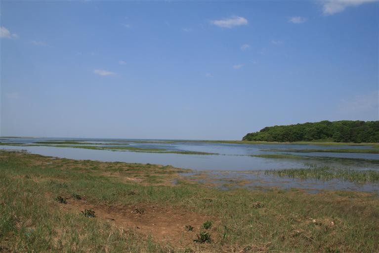 150 Blue Heron Road Wellfleet, MA 02667 - Photo 34 of 35 a view of an ocean