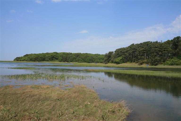 150 Blue Heron Road Wellfleet, MA 02667 - Photo 5 of 35 a view of a lake