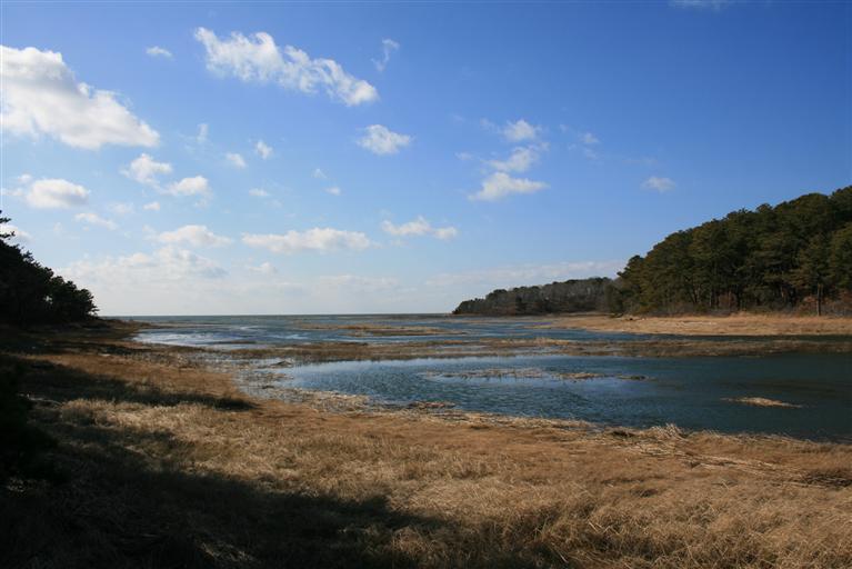 150 Blue Heron Road Wellfleet, MA 02667 - Photo 6 of 35 a view of an ocean and beach