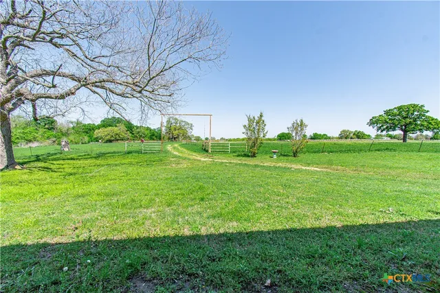 a view of a grassy field with plants and trees