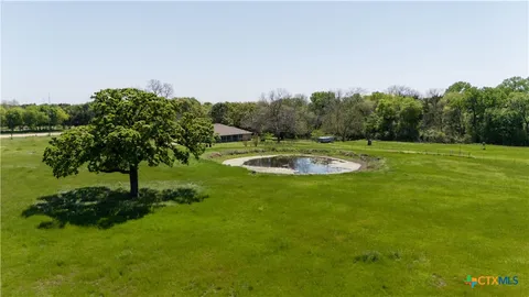 a view of a grassy field with trees