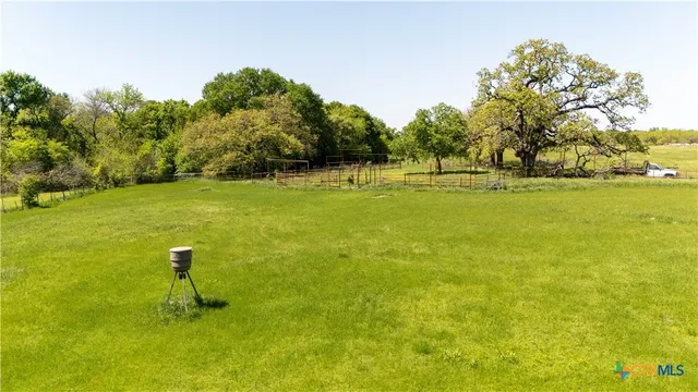 a view of a lake with a trees