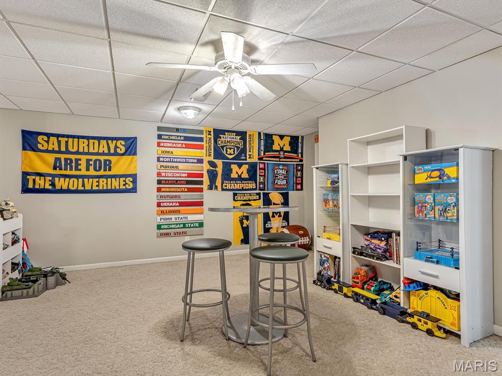 1307 Rachael Lane Waterloo, IL 62298 - Photo 23 of 34 Gallery Image 23