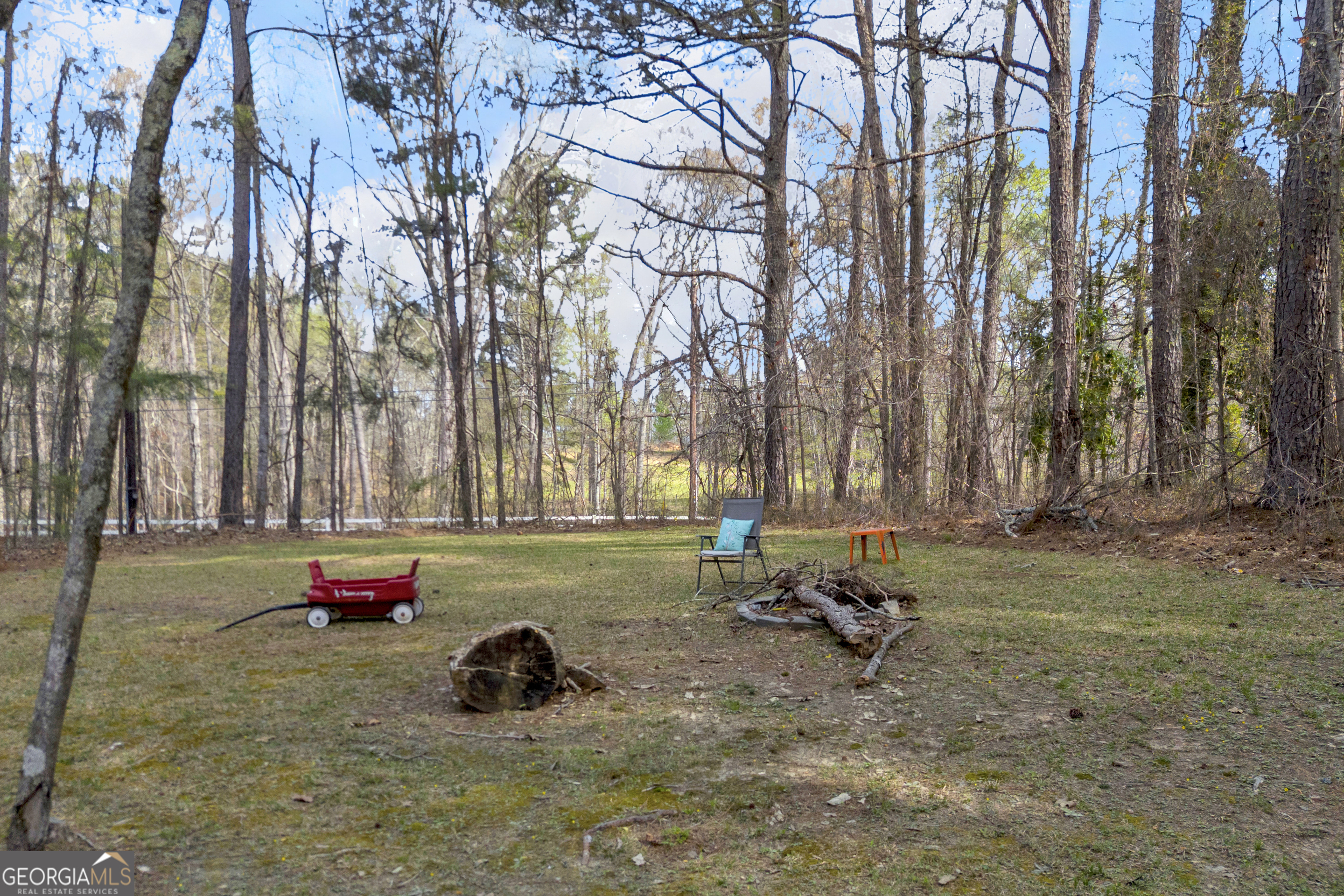 342 Brown Bridge Road Auburn, GA 30011 - Photo 22 of 41