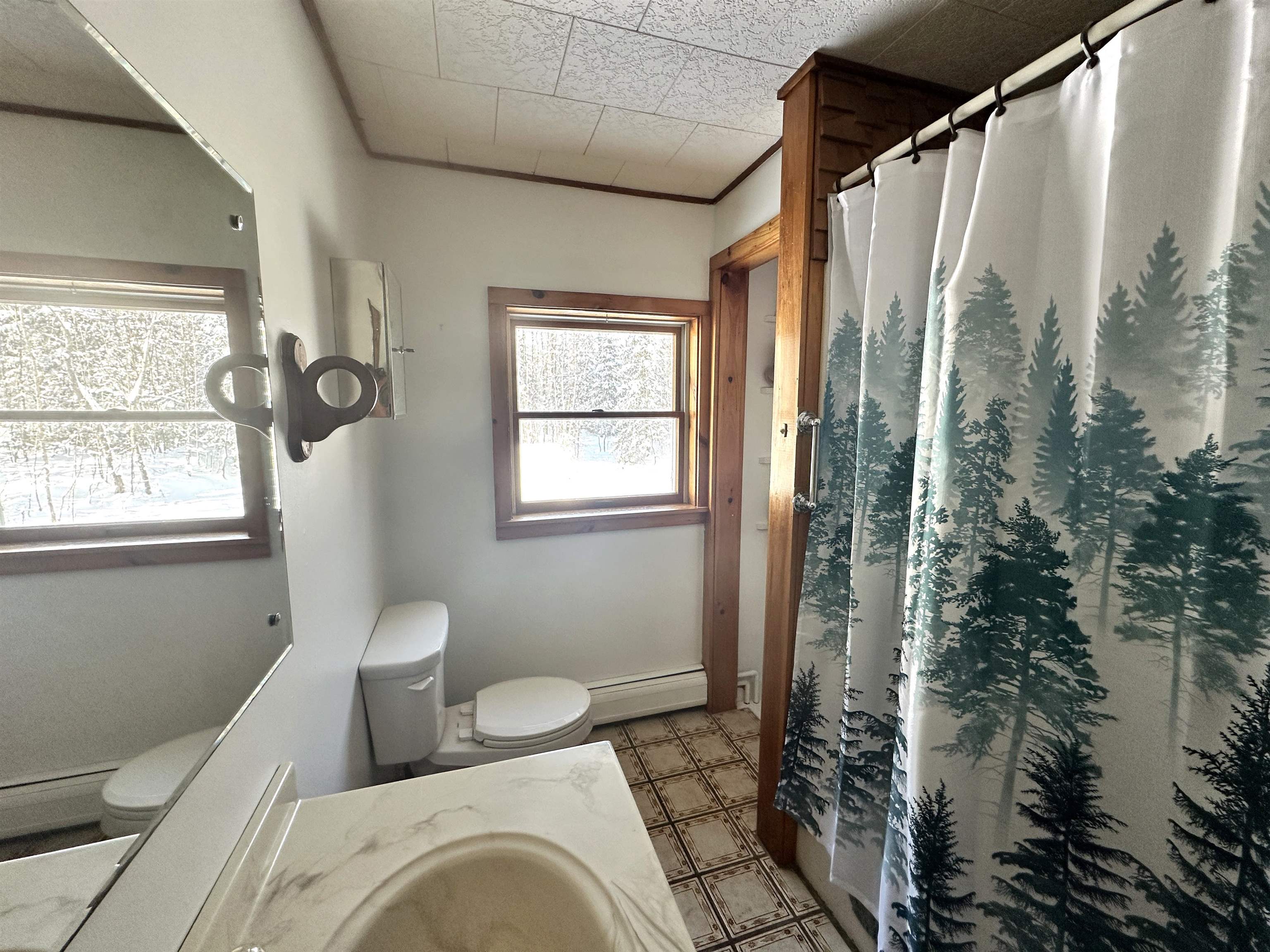 247 Warren Road Eden, VT 05652 - Photo 20 of 31