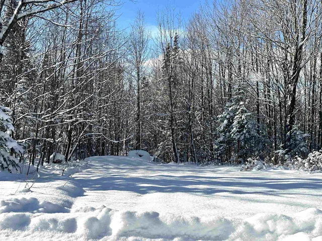 $459,000 | 247 Warren Road, Eden, VT 05652