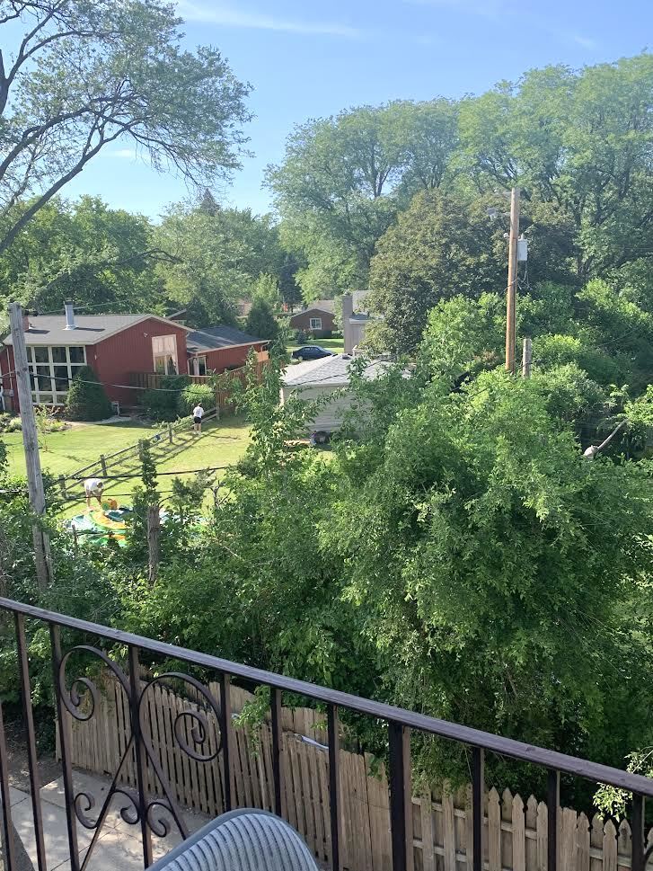 810 North River Road, Unit 3C Mount Prospect, IL 60056 - Photo 5 of 21 a balcony with trees in front of it