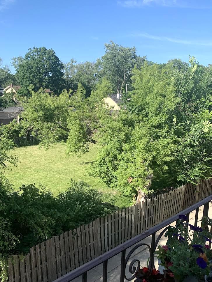 810 North River Road, Unit 3C Mount Prospect, IL 60056 - Photo 7 of 21 a balcony with an ocean view