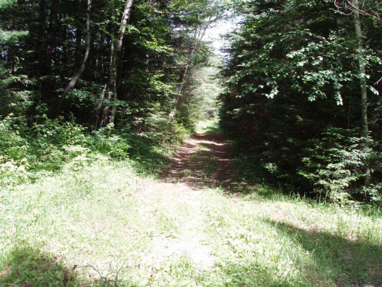 Near Bearskull Road Park Falls, WI 54552 - Photo 2 of 5 Gallery Image 2