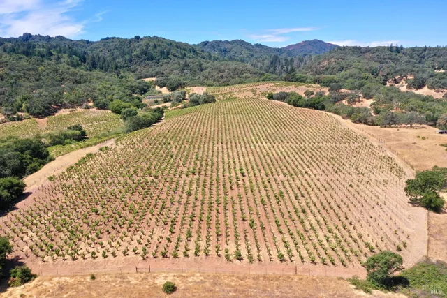 $4,950,000 | 25845 Dutcher Creek Road, Cloverdale, CA 95425