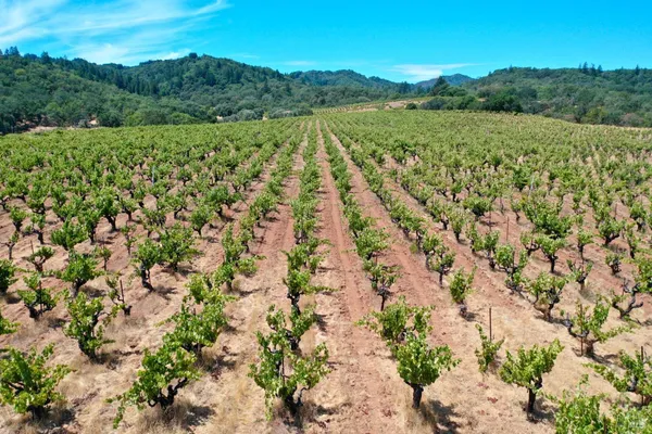 $4,350,000 | 25845 Dutcher Creek Road, Cloverdale, CA 95425