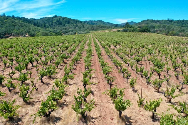 $4,950,000 | 25845 Dutcher Creek Road, Cloverdale, CA 95425