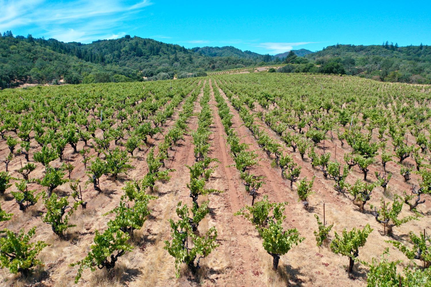 25845 Dutcher Creek Road Cloverdale, CA 95425 - Photo 38 of 77