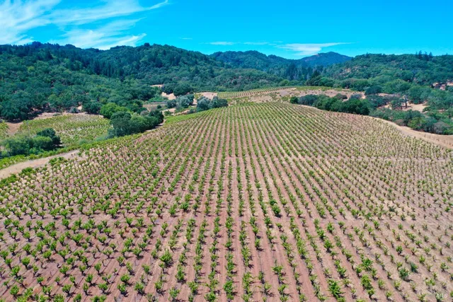 $4,950,000 | 25845 Dutcher Creek Road, Cloverdale, CA 95425