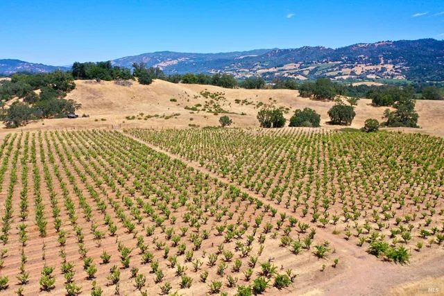 $4,950,000 | 25845 Dutcher Creek Road, Cloverdale, CA 95425