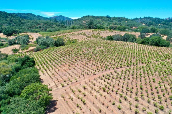 $4,350,000 | 25845 Dutcher Creek Road, Cloverdale, CA 95425