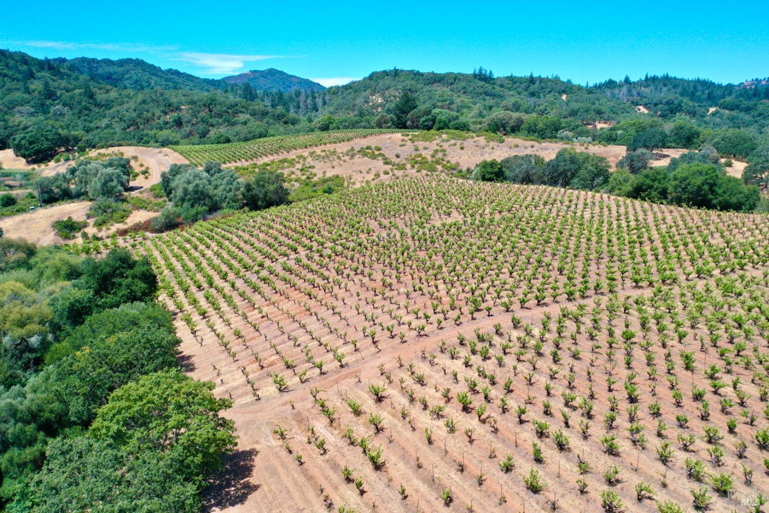 25845 Dutcher Creek Road Cloverdale, CA 95425 - Photo 41 of 77