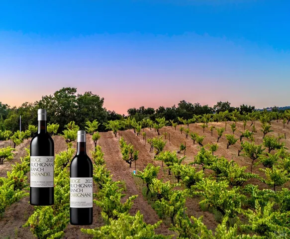 $4,950,000 | 25845 Dutcher Creek Road, Cloverdale, CA 95425