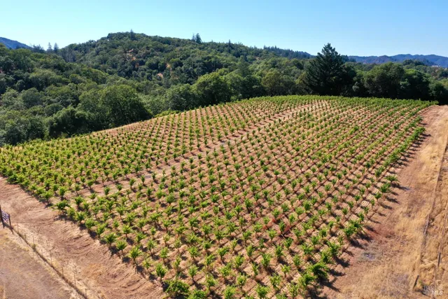 $4,950,000 | 25845 Dutcher Creek Road, Cloverdale, CA 95425