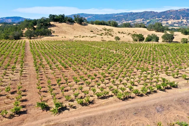 $4,950,000 | 25845 Dutcher Creek Road, Cloverdale, CA 95425