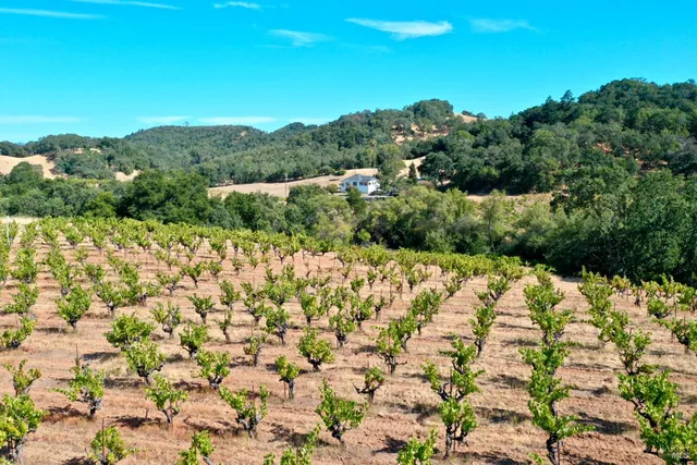 $4,950,000 | 25845 Dutcher Creek Road, Cloverdale, CA 95425