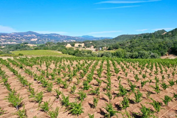 $4,350,000 | 25845 Dutcher Creek Road, Cloverdale, CA 95425