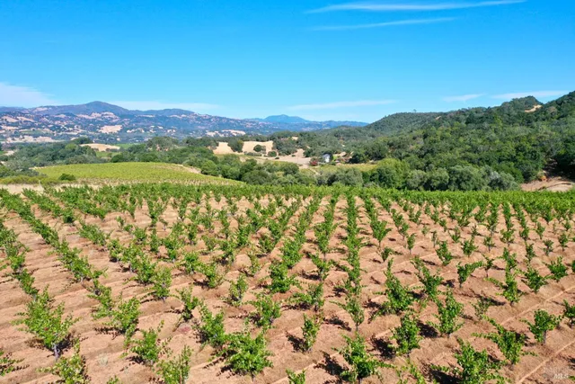 $4,950,000 | 25845 Dutcher Creek Road, Cloverdale, CA 95425