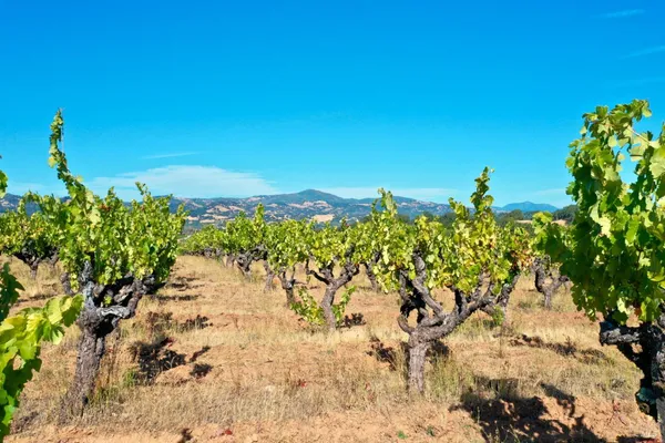 $4,350,000 | 25845 Dutcher Creek Road, Cloverdale, CA 95425