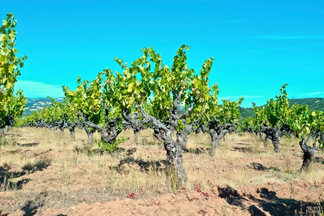 $4,950,000 | 25845 Dutcher Creek Road, Cloverdale, CA 95425