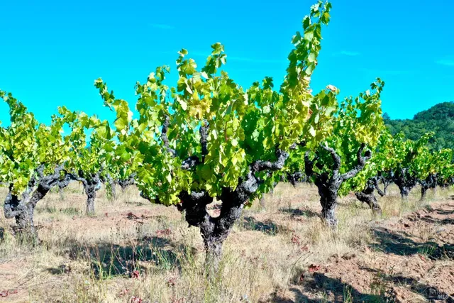 $4,950,000 | 25845 Dutcher Creek Road, Cloverdale, CA 95425