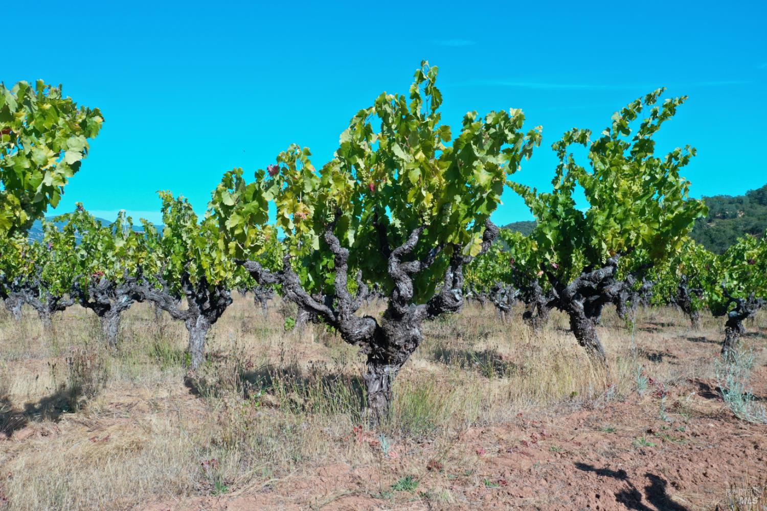 25845 Dutcher Creek Road Cloverdale, CA 95425 - Photo 71 of 77