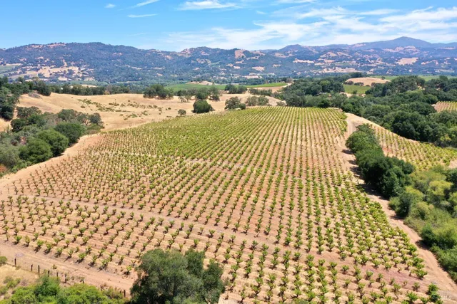 $4,950,000 | 25845 Dutcher Creek Road, Cloverdale, CA 95425