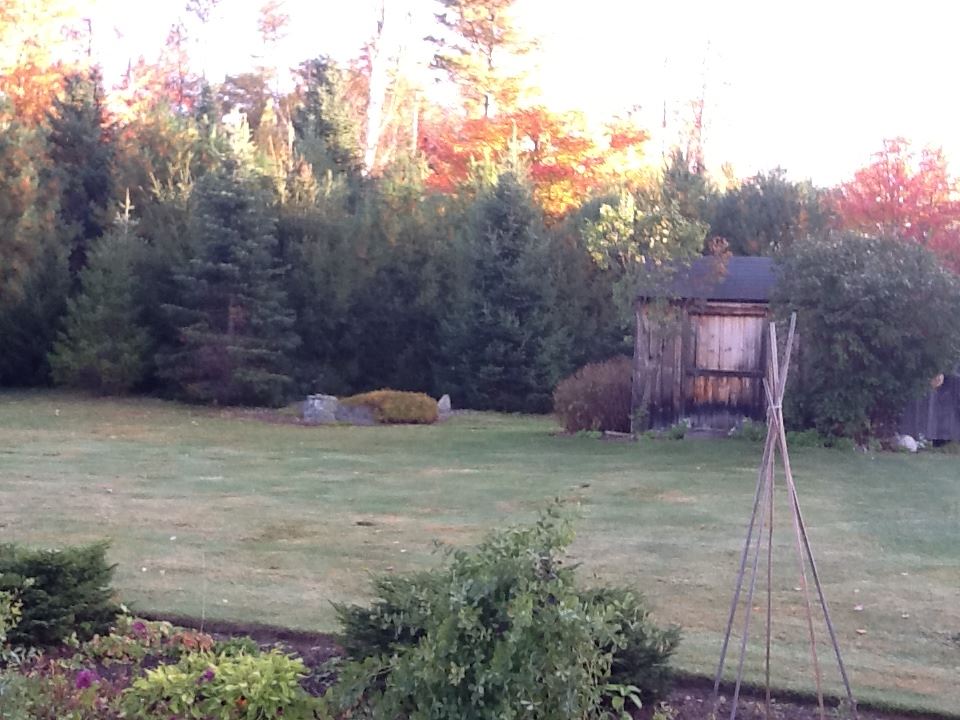 5 Short Rd W26 Winhall, VT 05340 - Photo 9 of 35 Gallery Image 9